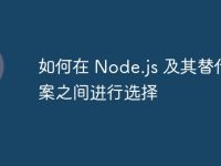 如何在 Node.js 及其替代方案之间进行选择-路由网