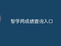 智学网成绩查询入口-路由网
