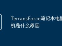 TerransForce笔记本电脑死机是什么原因-路由网