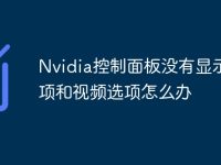 Nvidia控制面板没有显示选项和视频选项怎么办-路由网