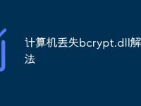 计算机丢失bcrypt.dll解决方法-路由网