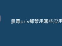黑莓priv都禁用哪些应用-路由网