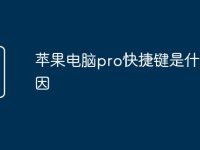 苹果电脑pro快捷键是什么原因-路由网