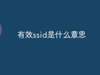 有效ssid是什么意思-路由网