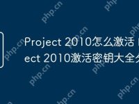 Project 2010怎么激活 Project 2010激活密钥大全分享-路由网