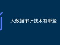 大数据审计技术有哪些-路由网