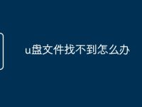 u盘文件找不到怎么办-路由网