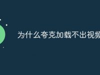 为什么夸克加载不出视频-路由网