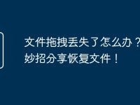 文件拖拽丢失了怎么办？4个妙招分享恢复文件！-路由网