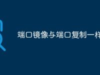 端口镜像与端口复制一样吗-路由网
