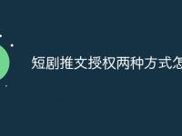 短剧推文授权两种方式怎么选-路由网