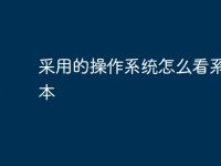 采用的操作系统怎么看系统版本-路由网