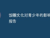 饭圈文化对青少年的影响调查报告-路由网
