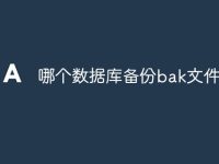哪个数据库备份bak文件-路由网