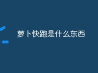 萝卜快跑是什么东西-路由网