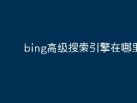 bing高级搜索引擎在哪里-路由网
