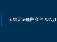 u盘无法删除文件怎么办-路由网
