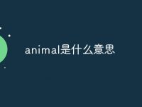 animal是什么意思-路由网