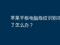 苹果平板电脑指纹识别功能坏了怎么办？-路由网