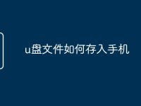u盘文件如何存入手机-路由网