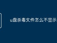 u盘杀毒文件怎么不显示-路由网