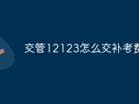 交管12123怎么交补考费-路由网