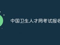 中国卫生人才网考试报名入口-路由网