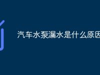 汽车水泵漏水是什么原因-路由网