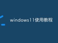 windows11使用教程-路由网