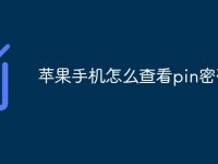 苹果手机怎么查看pin密码-路由网