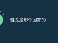 骁龙是哪个国家的-路由网
