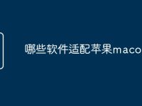 哪些软件适配苹果macos11-路由网