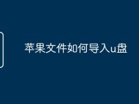 苹果文件如何导入u盘-路由网