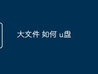 大文件 如何 u盘-路由网