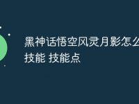 黑神话悟空风灵月影怎么获得技能 黑神话悟空风灵月影怎么获得技能点-路由网