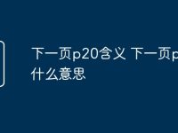 下一页p20含义 下一页p20是什么意思-路由网