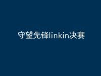 守望先锋linkin决赛-路由网