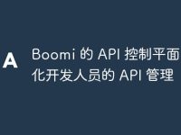 Boomi 的 API 控制平面:简化开发人员的 API 管理-路由网