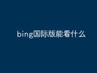 bing国际版能看什么-路由网