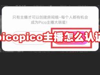 picopico主播怎么认证-路由网
