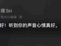 设置了嘿siri为什么喊不出来 苹果手机siri无法正常使用怎么办-路由网