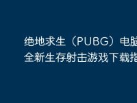 绝地求生（PUBG）电脑版 - 全新生存射击游戏下载指南-路由网