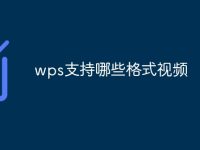 wps支持哪些格式视频-路由网