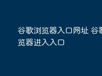 谷歌浏览器入口网址 谷歌浏览器进入入口-路由网