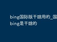 bing国际版干啥用的_国际版bing是干啥的-路由网