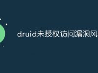 druid未授权访问漏洞风险-路由网