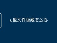 u盘文件隐藏怎么办-路由网