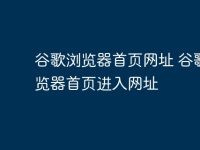 谷歌浏览器首页网址 谷歌浏览器首页进入网址-路由网
