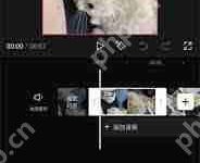 剪映变声功能在哪-路由网