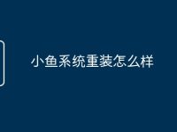 小鱼系统重装怎么样-路由网